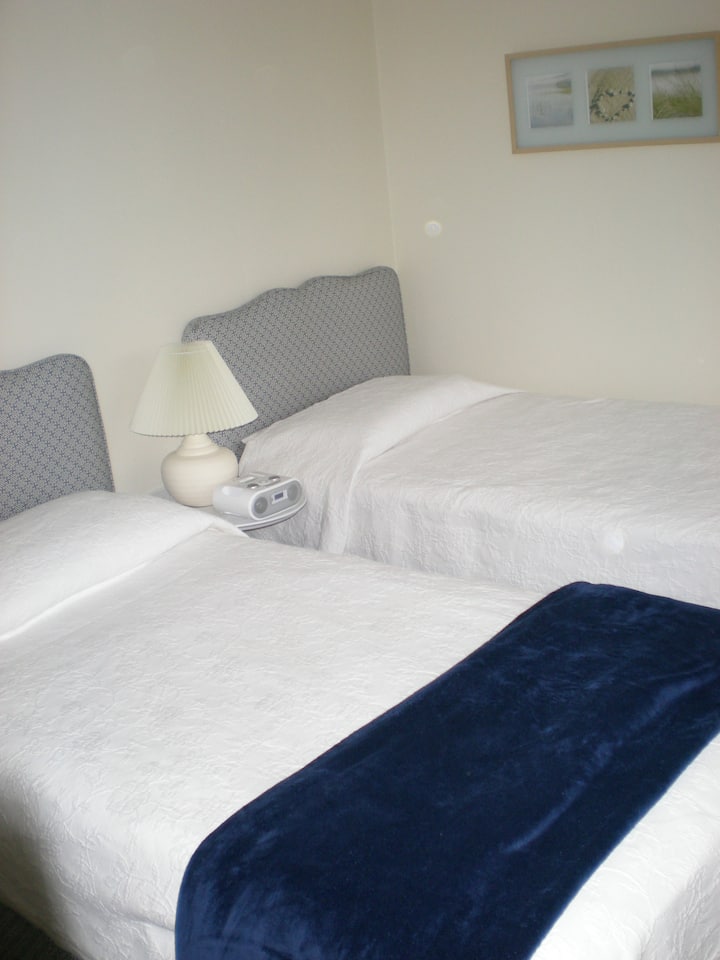 Chumba cha kulala cha Bluu- kabati la ukubwa kamili, mito ya ziada na mablanketi yaliyotolewa kwenye chumba.