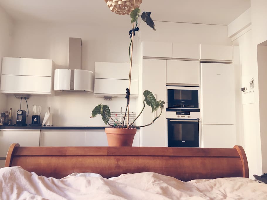 View to the kitchen from the bed. There's always at least coffee and tea for you, but you can use everything you like from the pantry!