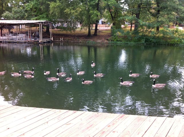 Large Master rooms in quiet cove on Lake Hamilton