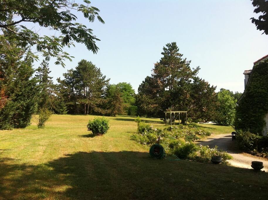 Garden