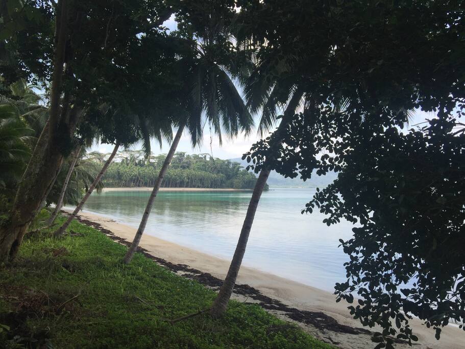 The beach close to jungle bar