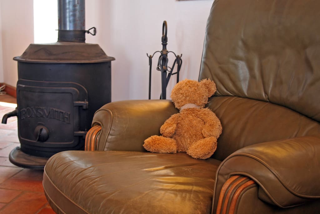 Living room with fine woodburner