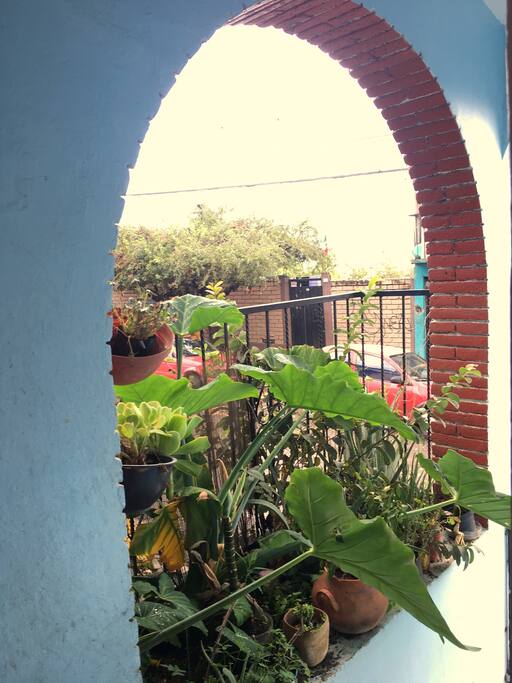 The entrance to the house