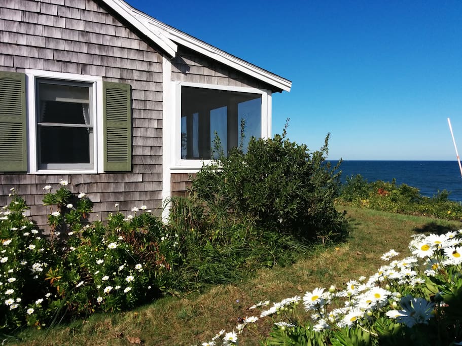 PRIVATE BEACHFRONT Cute Cottage on beach WIFI Houses for Rent in