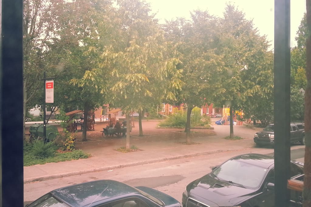 A little park from the view in the living room