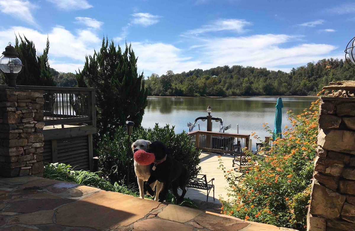 A serene lakeside view features vibrant greenery and a clear blue sky. Two dogs are playfully interacting near a stone pathway, leading to the water's edge. The outdoor area includes a deck with seating and a dock visible in the background, enhancing the peaceful natural setting.