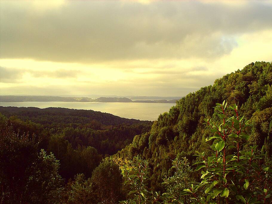 Entorno natural, rodeado de bosque y sonido de pájaros. Vista a isla Lemuy y cordillera de los Andes.