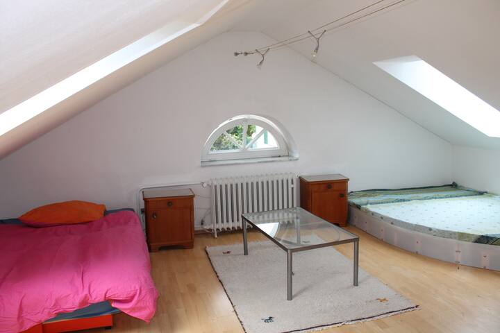 3.带沙发床+草坪的房间
阁楼
