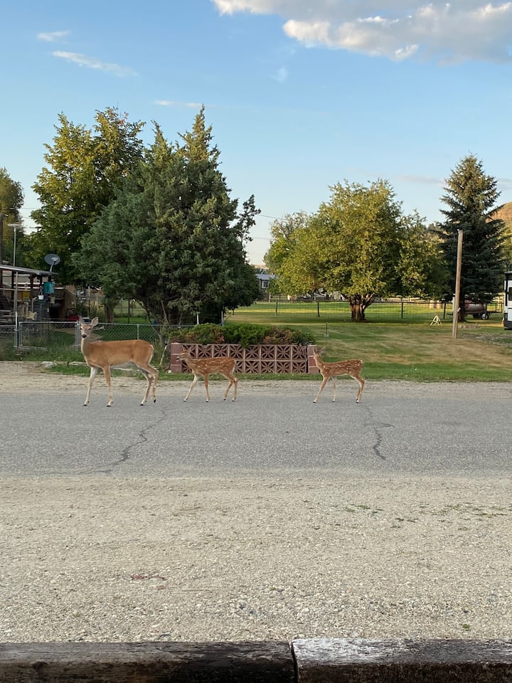 Absarokee Mt Cabin Rentals at Haley Eudy blog