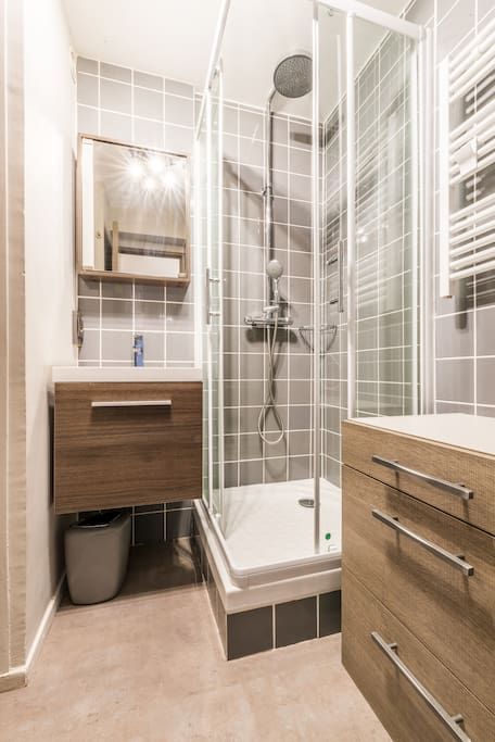 Salle d'eau refaite entièrement avec toilette.