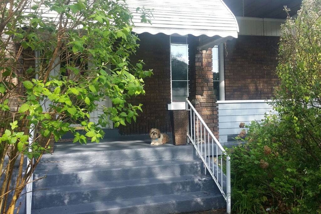 Dog not included! But great place to sit with your morning coffee!
