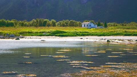 Cosy cabin on a private beach