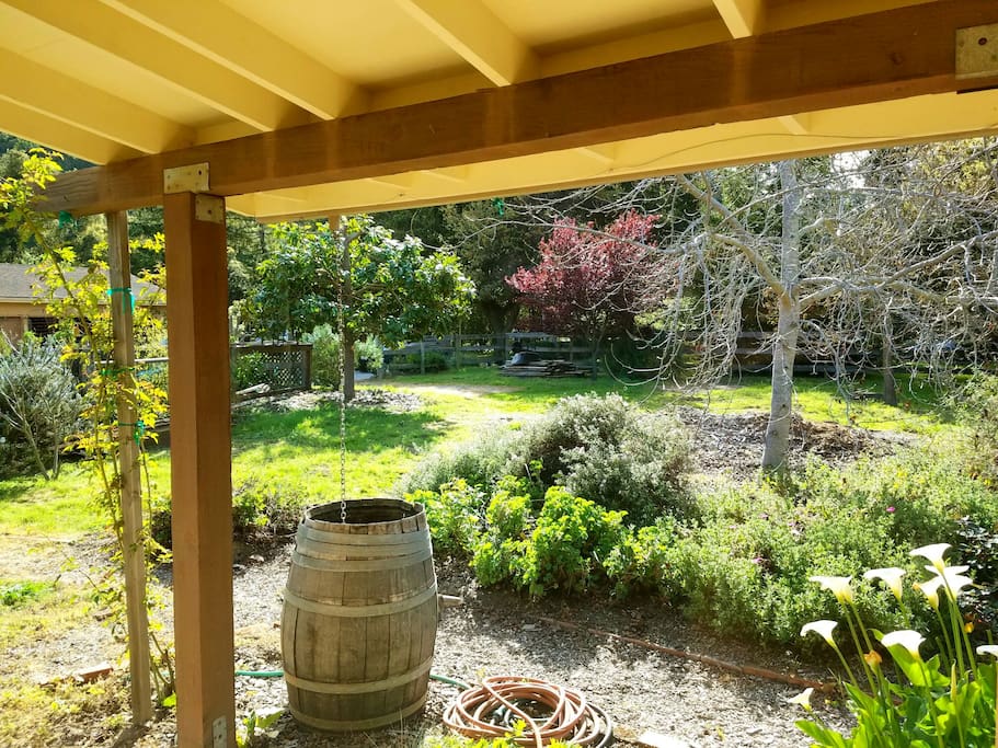 View from your porch