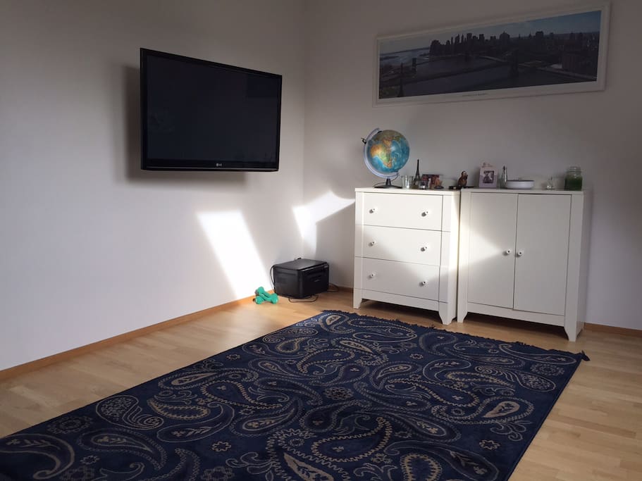 Living room/bedroom
