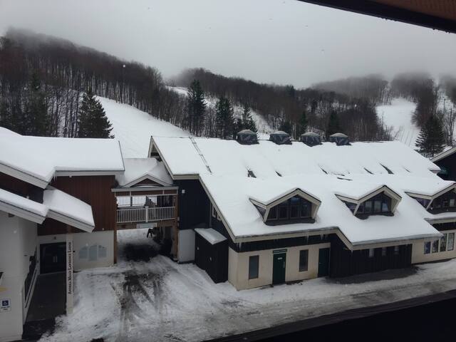 Bright Ski on/off Condo Full Kitchen-Free Shuttle!