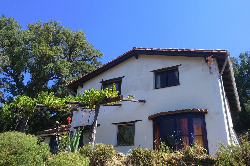 Vista frontal de la casa.