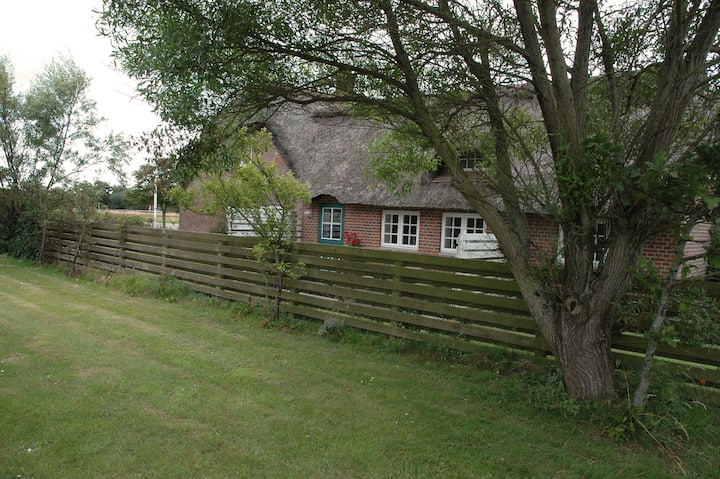 Apartment in authentic environment