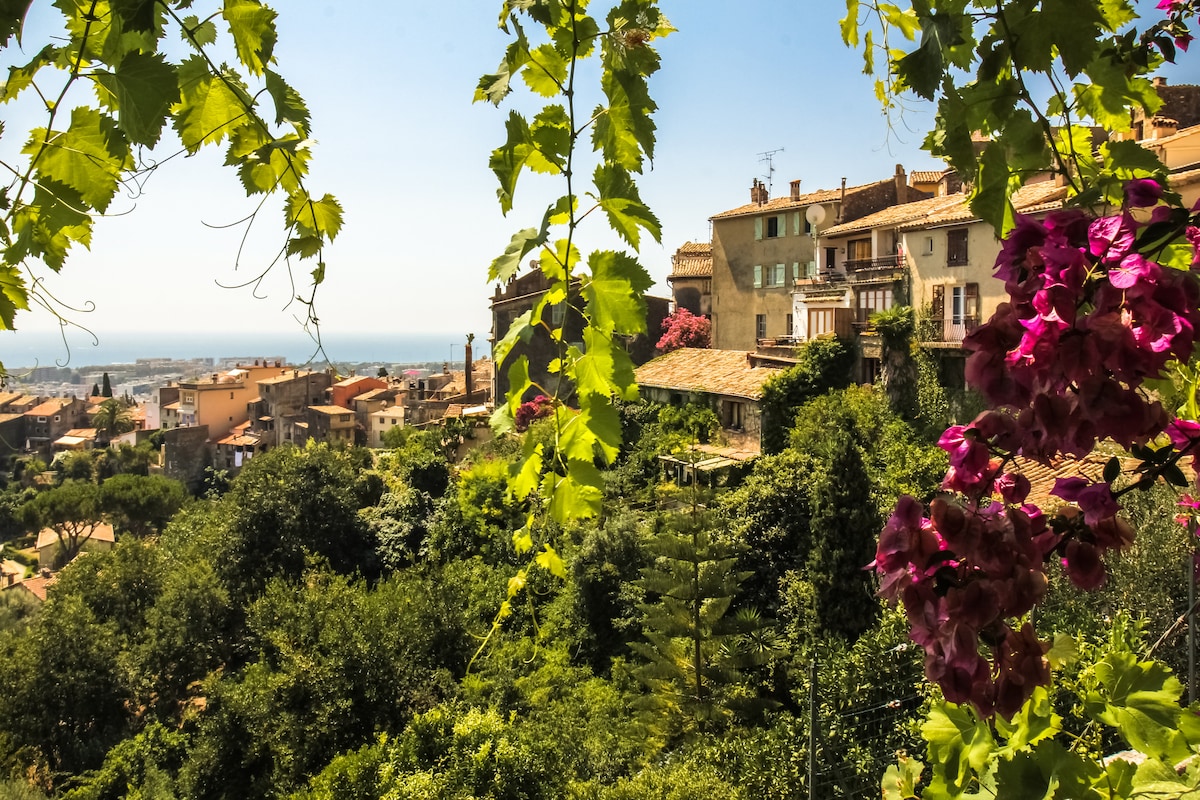 A view of the charming village with Mediterranean architecture is framed by vibrant green vines and blooming flowers. The coastline and sea can be seen in the distance, while the surrounding greenery highlights the natural beauty of the area.