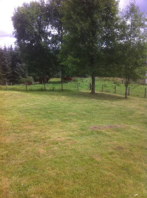 large secure and private back garden
