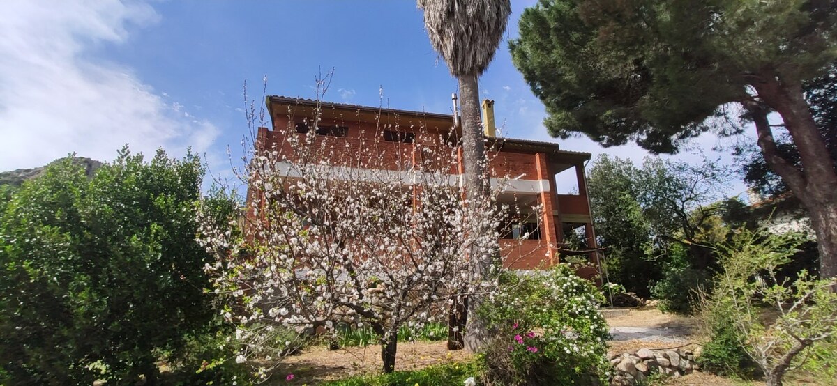 A two-story house is visible, featuring large windows that enhance natural light. Surrounding gardens showcase trees and blooming flowers, with greenery enveloping the exterior. A tall palm tree stands to the right, contributing to the serene outdoor environment.