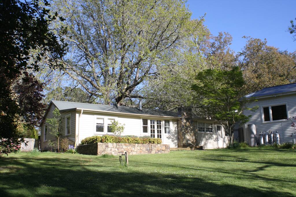 Cottage lawn