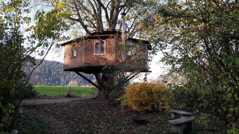 Siegtal - treehouse in nature, 700m from the train station