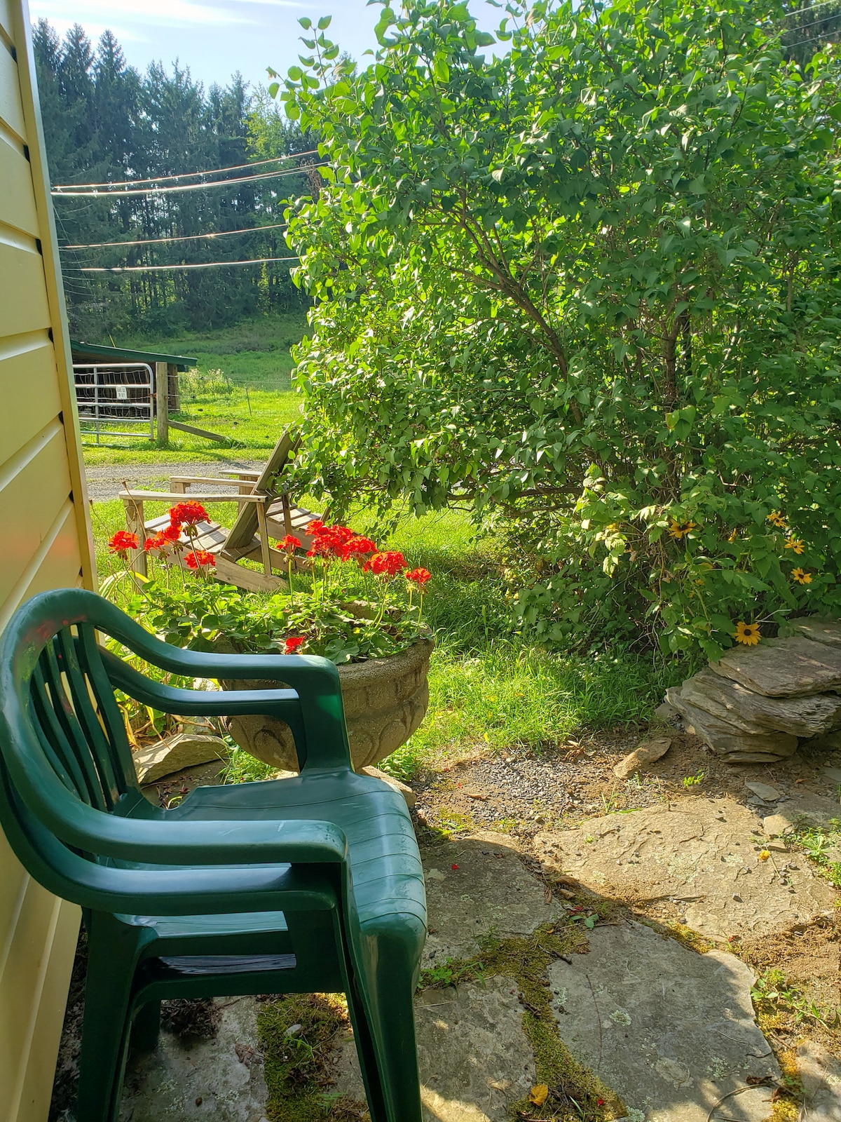 A green plastic chair is positioned on a stone path, adjacent to a flowering red geranium plant and a bush. The area features a backdrop of lush greenery and a distant view of a fenced-in pasture, contributing to a peaceful outdoor setting.