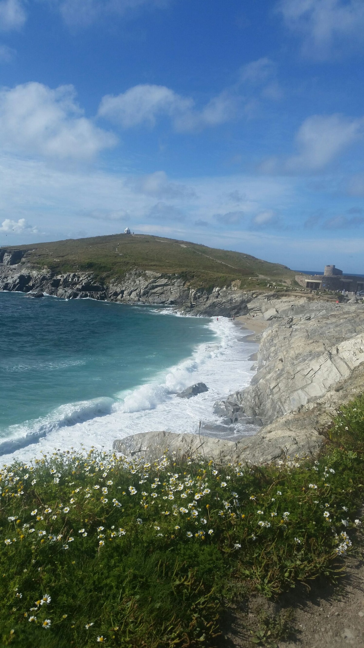 The image captures a serene coastal scene with gentle waves lapping against rocky shores. Lush green vegetation adorned with white daisies lines the sandy beach, while a distant hillside, crowned by a lighthouse, contrasts against a blue sky dotted with soft clouds.
