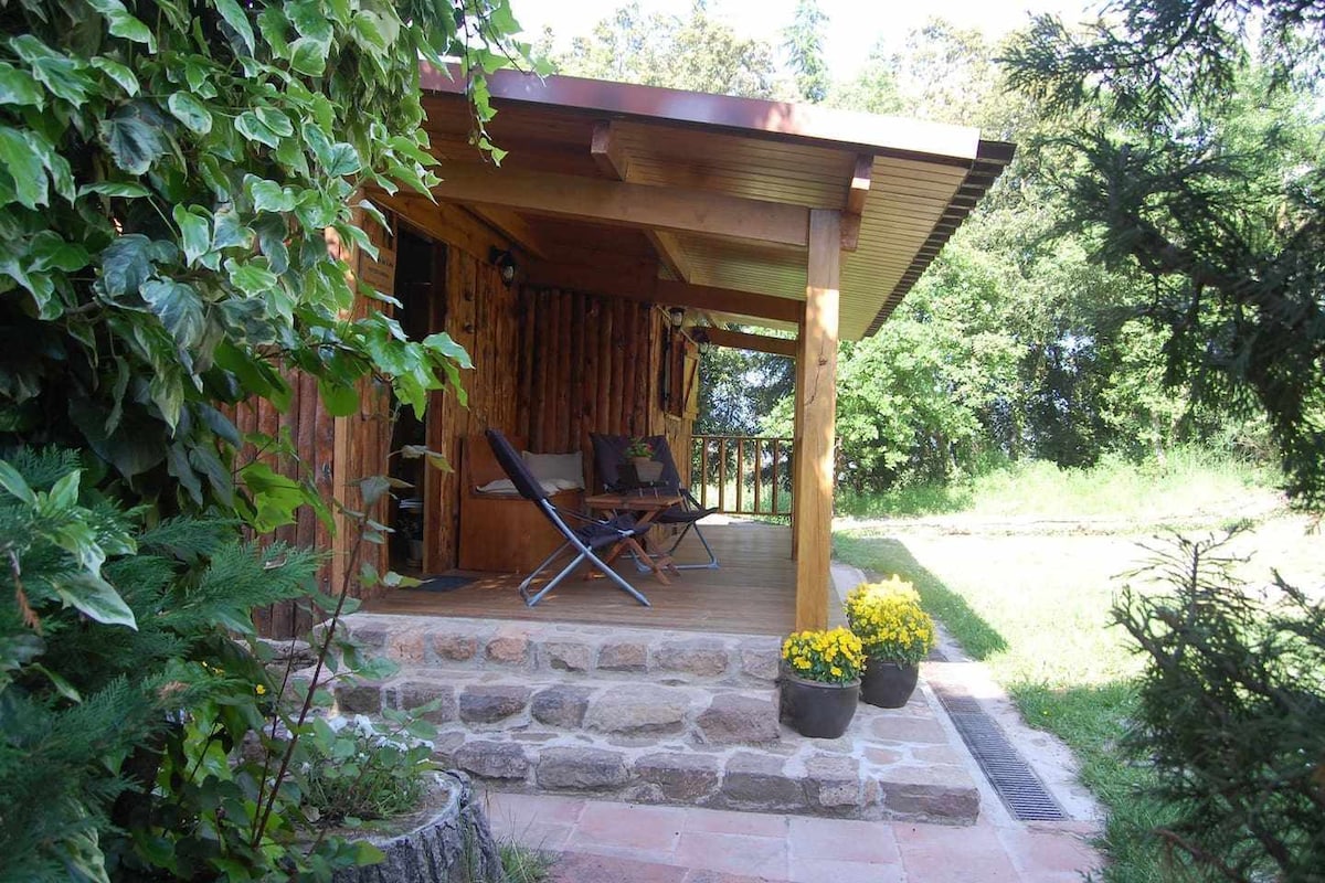 A wooden cabin with a covered porch features two folding chairs positioned for relaxing. Flower pots with yellow blooms add a touch of color. Surrounding greenery frames the entrance, enhancing the natural setting while stone steps lead to the cabin door.
