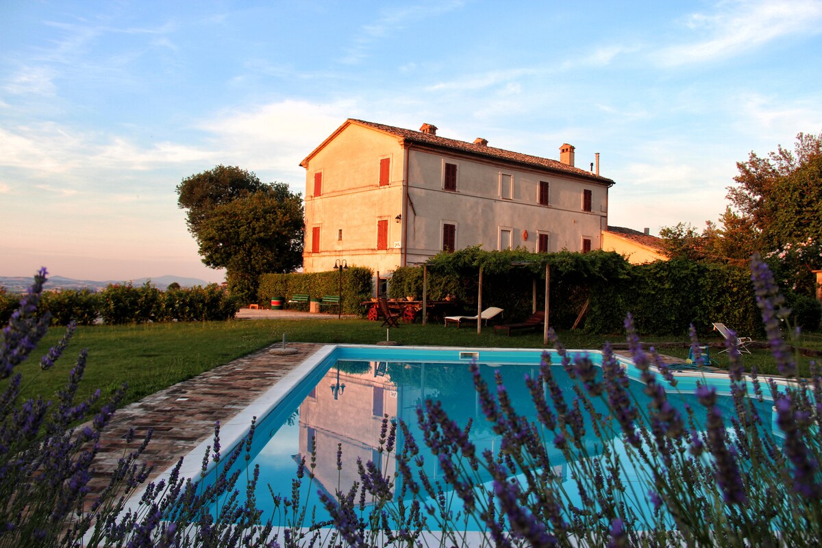 A rustic villa stands near a sparkling pool, surrounded by lush greenery and blooming lavender. The two-story building is characterized by a simple facade with red shutters. Sunlight gently reflects off the water, contributing to the serene ambiance of the outdoor space.