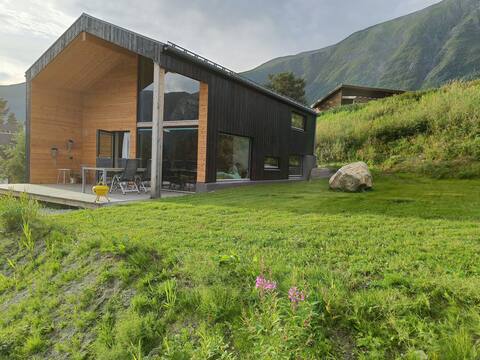 The house by the forest