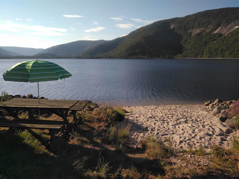 Private beach 300 meter from cabin