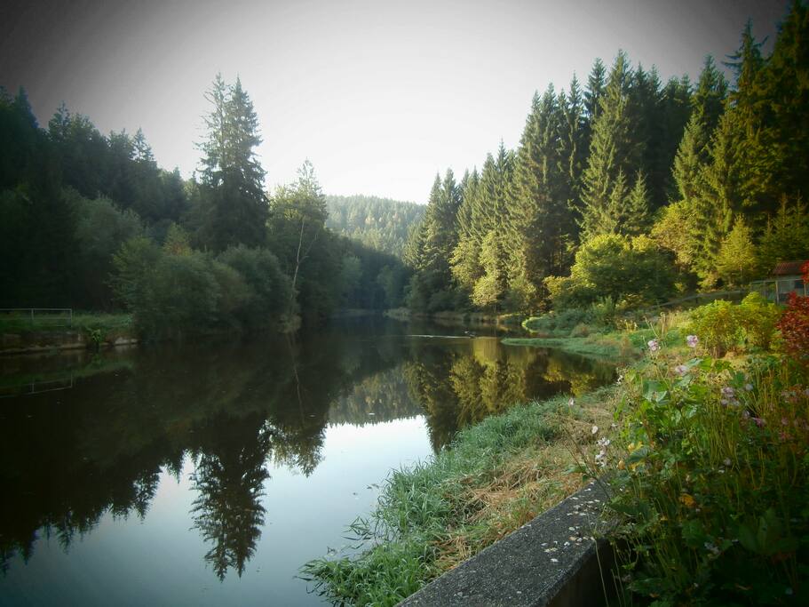 Blick aus dem Wintergarten