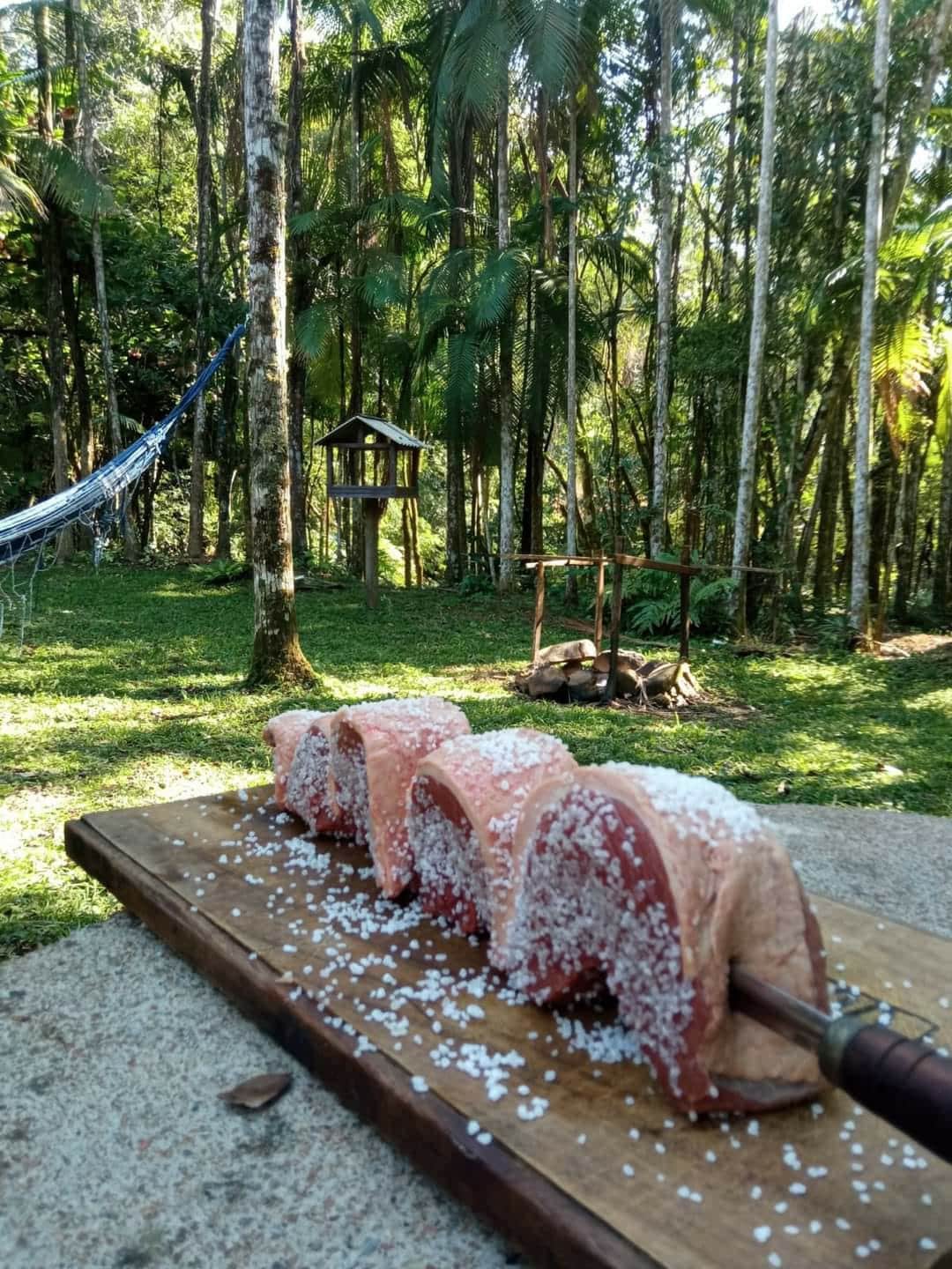 A wooden plank is shown with seasoned meat prepared for grilling, set amidst a lush green landscape. Tall trees surround the area, while a hammock can be seen in the background, indicating a serene outdoor space.