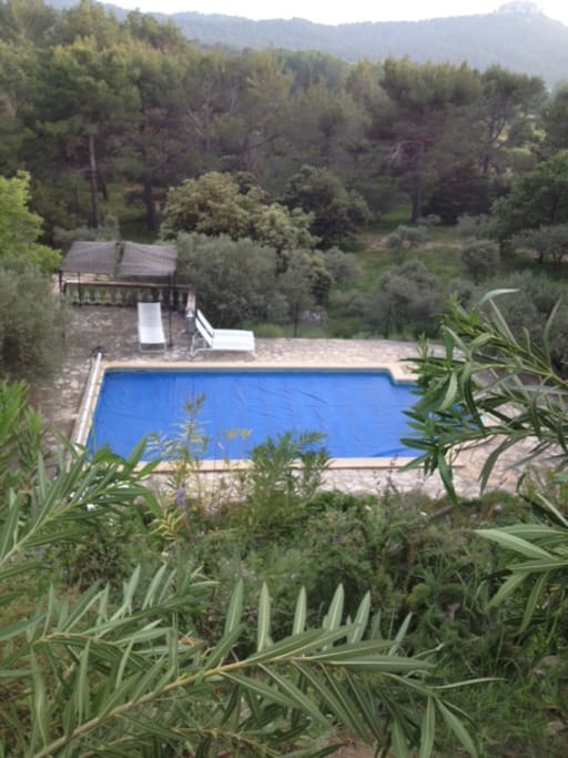 la piscine, depuis la terrasse