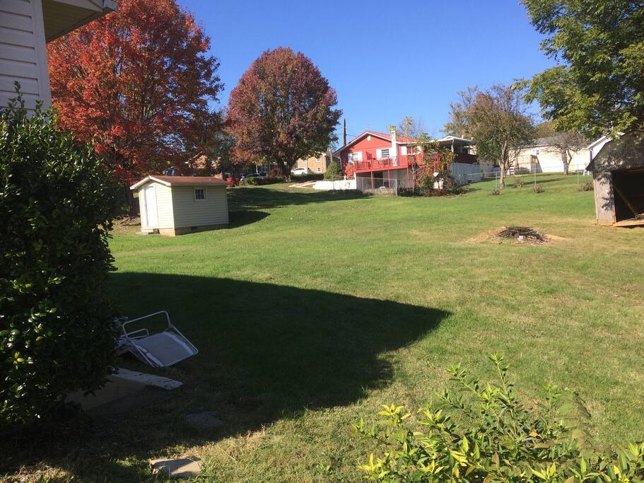 Back yard.