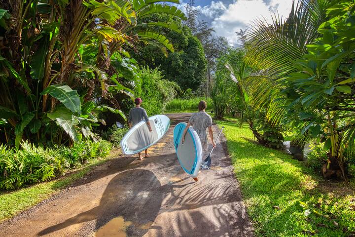 A Waterman’s Paradise! Kayak/SUP a/c TVNC -4238 gallery image 2