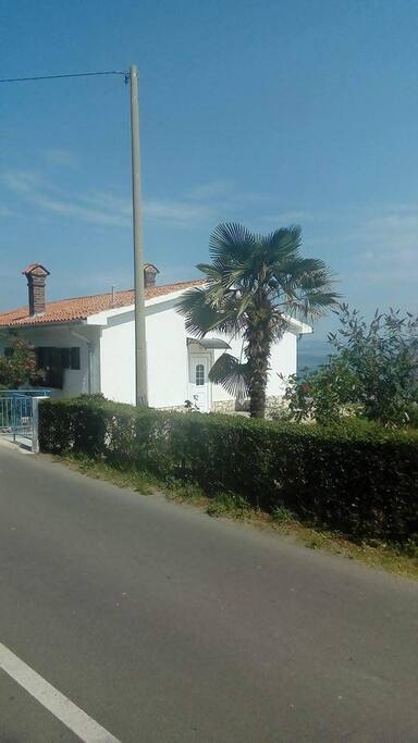 View from the road