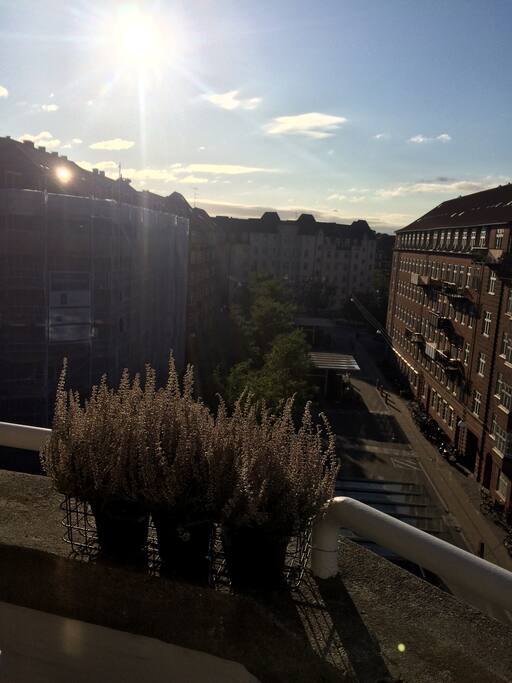 View from balcony
