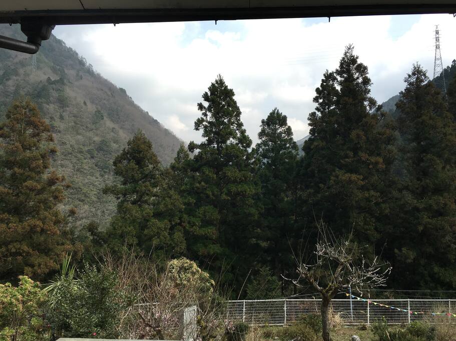 お部屋の入口からの風景