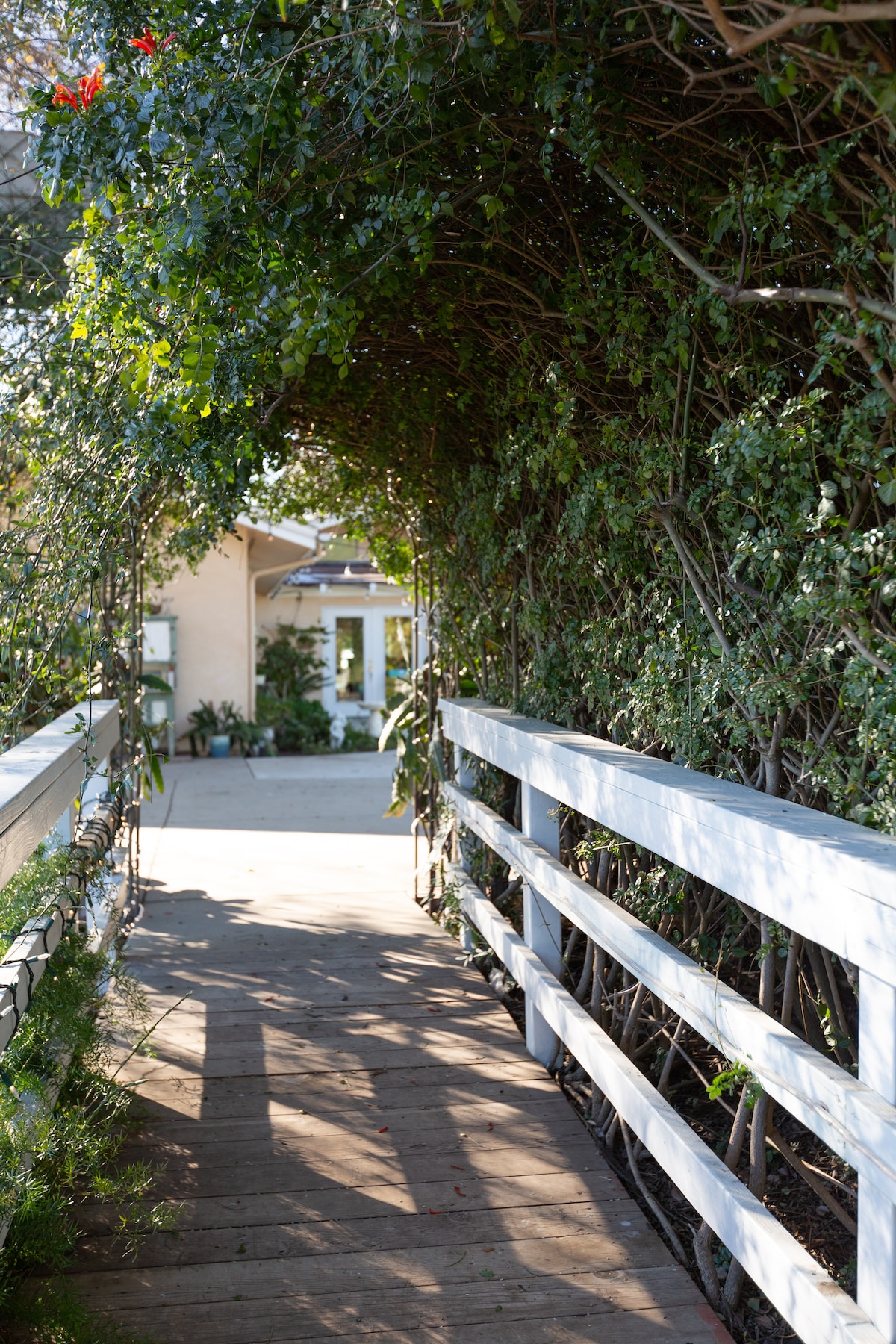 A wooden walkway leads through lush greenery, creating a natural archway. The bright sunlight filters through the leaves, illuminating the path. At the end of the walkway, a glimpse of the main house is visible, framed by vibrant plants.