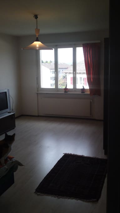 20 m2, hell, privat