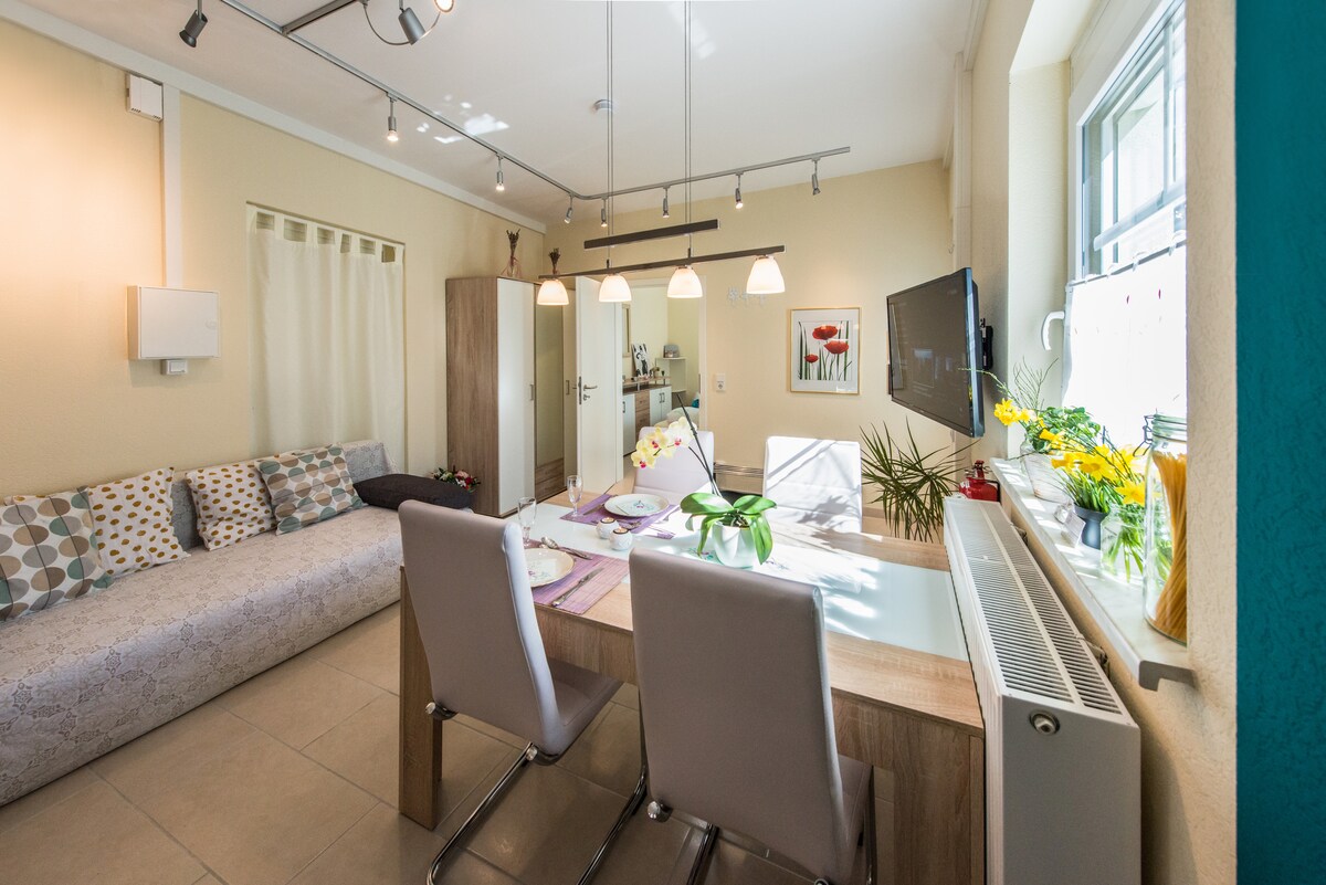 An open-plan living and dining area features a light wooden dining table with four chairs, set for a meal. A comfortable couch with patterned cushions occupies one side, while a modern kitchen is visible in the background, equipped with essential appliances. Decorative plants add a touch of greenery.