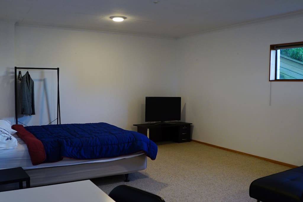 bedroom + living area