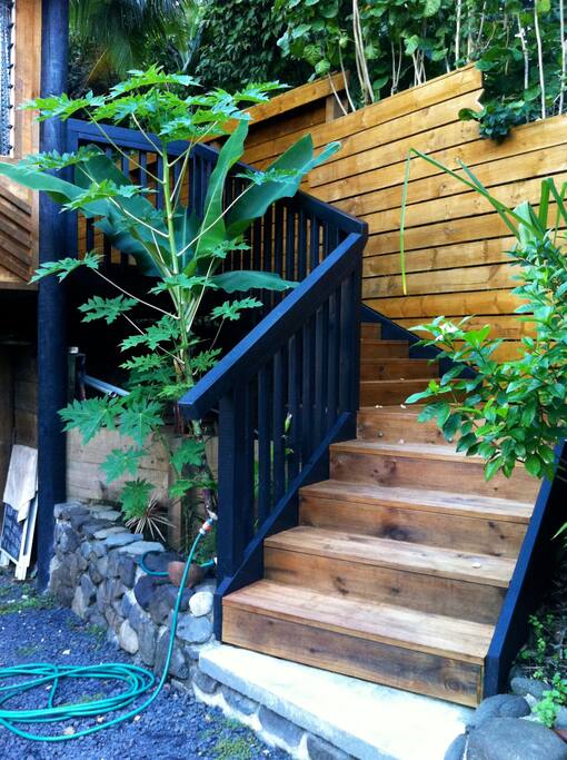 11 easy steps up from the carport..