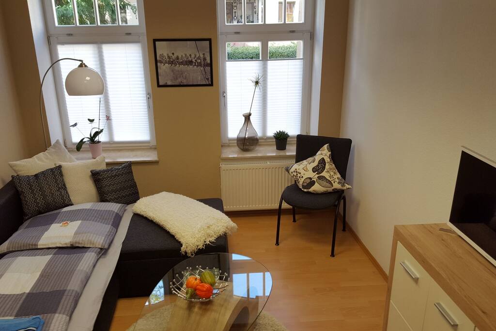 Wohnzimmer mit Schlafsofa 1 Person / living room with sofa bed 1 person