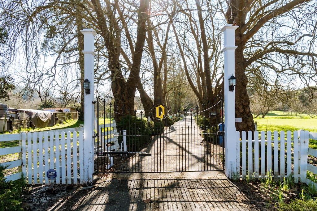 Impressive Front Gate with Keyless Entry. The Q on the gate symbolic of this lovely home we fondly refer to as The Queen