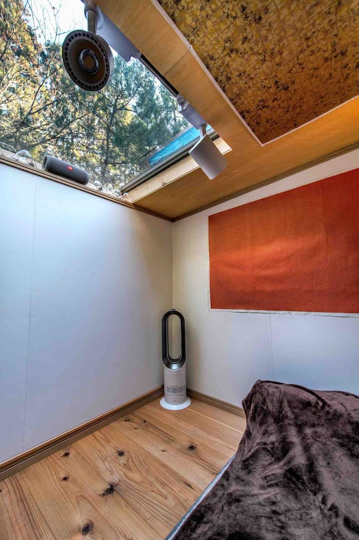 Doghouse天窗和艺术品