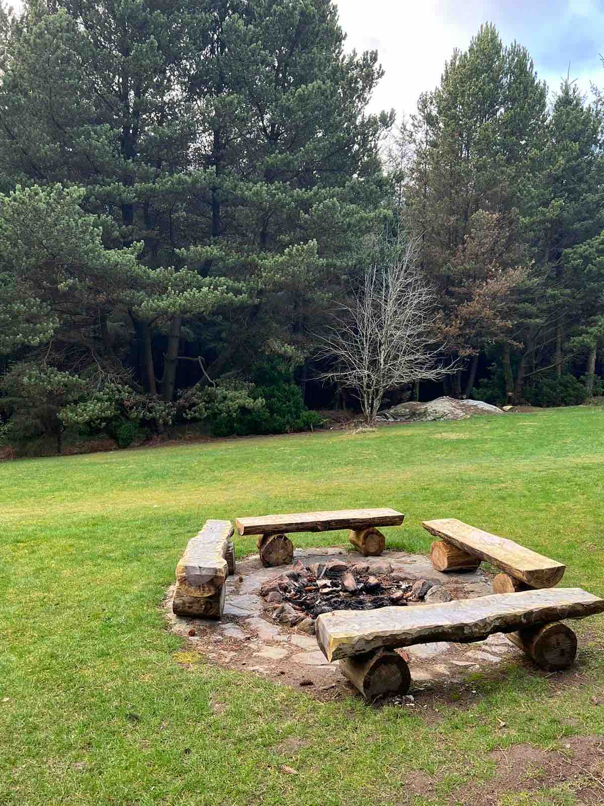 A rustic fire pit is surrounded by log seating, set against a backdrop of lush green grass and tall trees. The natural seating arrangement invites gathering, while the forest provides a serene atmosphere for relaxation and connection with nature.