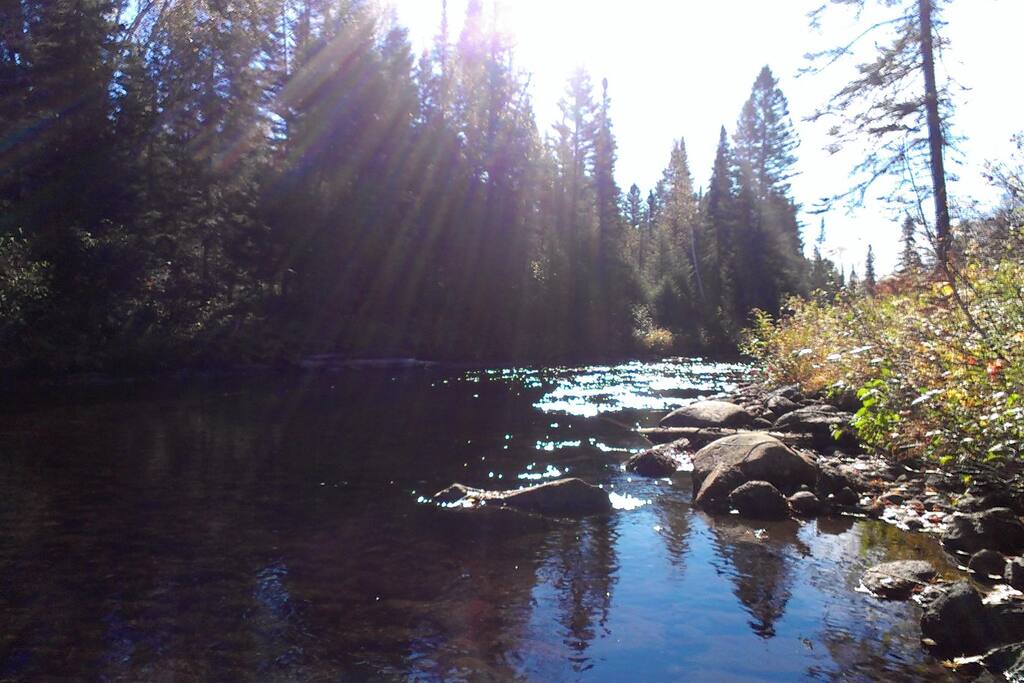 Pêche à la petite truite